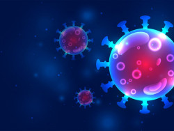 12894_fullimage_corona-870x450px-142301425-s